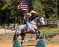 ranch-quarter-horse