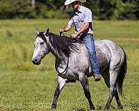 youth-quarter-horse