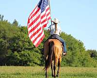 youth-quarter-horse