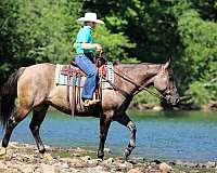 roping-quarter-horse