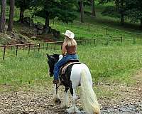trail-riding-gypsy-vanner-horse