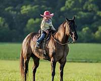 flashy-quarter-horse