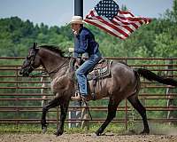 kid-safe-quarter-horse