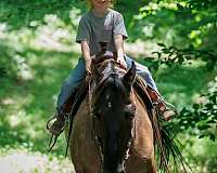 ranch-work-quarter-horse