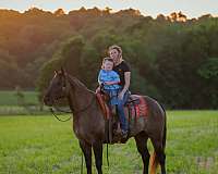 roping-quarter-horse