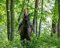 trail-riding-quarter-horse