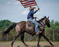 youth-quarter-horse