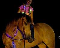 trail-riding-friesian-pony