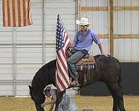 flashy-friesian-pony