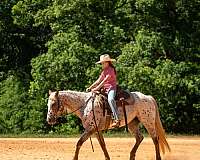 kid-safe-poa-horse