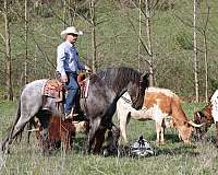 ranch-work-draft-horse