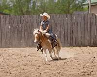 10-hand-poa-pony