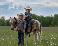 athletic-poa-pony