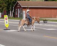 kid-safe-poa-pony