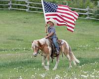 ranch-poa-pony