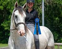 athletic-draft-horse