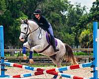 flashy-draft-horse