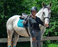 kid-safe-draft-horse