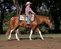 flashy-paint-pony