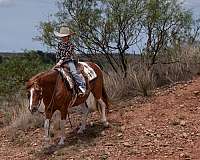 ranch-work-paint-pony