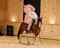 flashy-draft-horse