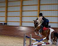 kid-safe-draft-horse