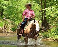 flashy-quarter-horse