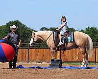 ranch-work-quarter-horse