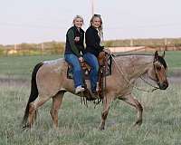 trail-quarter-horse