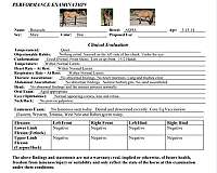 athletic-quarter-horse