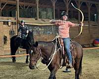 attitude-mustang-horse