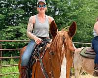 bridle-mustang-horse