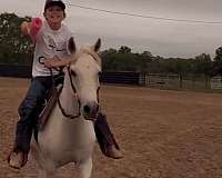 ranch-versatility-pony