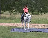 ranch-work-pony