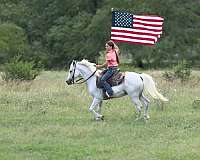 ridden-western-pony