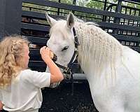 roping-pony