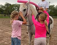 trail-pony
