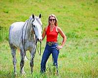 endurance-draft-horse