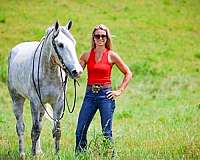 ranch-work-draft-horse