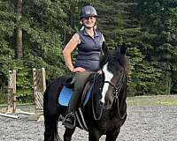 trail-riding-quarter-horse