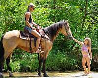 athletic-andalusian-horse