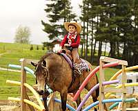 calf-roping-quarter-pony