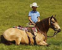 husband-safe-quarter-pony