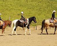 athletic-pony