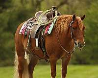 sorrel-therapy-pony