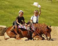 athletic-pony