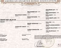kid-safe-quarter-horse