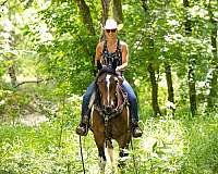 athletic-paint-horse