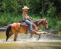 athletic-paint-horse