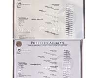 broodmares-arabian-horse